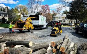 Best Emergency Tree Removal  in Massapequa Park, NY